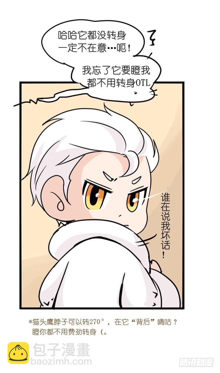 飞吧小少爷：这、这就是传说中的&mdash;-第13话