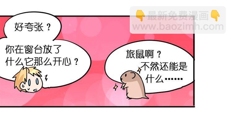 飞吧小少爷：这、这就是传说中的&mdash;-第13话
