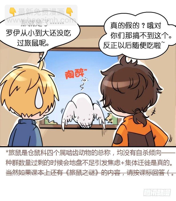飞吧小少爷：这、这就是传说中的&mdash;-第13话