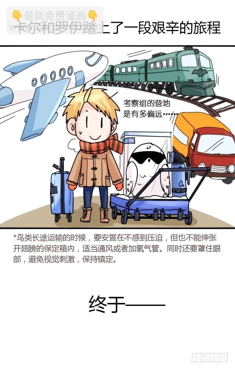 飞吧小少爷：这、这就是传说中的&mdash;-第13话