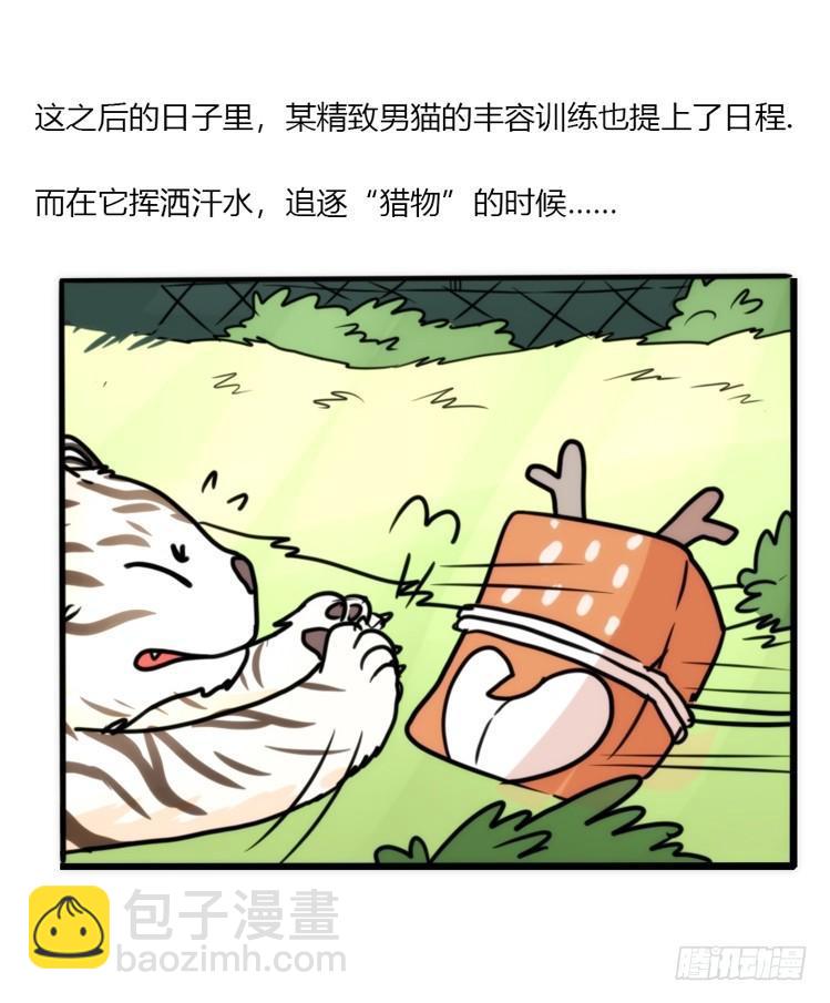 幕间剧场03-生存攻略&middot;下-第123话