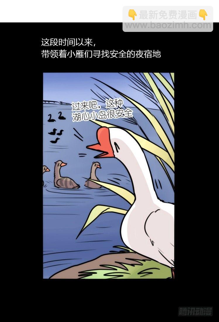 幕间剧场03-生存攻略&middot;下-第123话