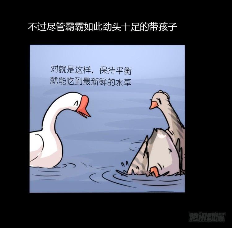 使命篇02：不同的选择-第125话