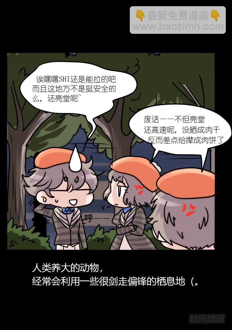 使命篇04：三鸟行必有我师焉-第127话