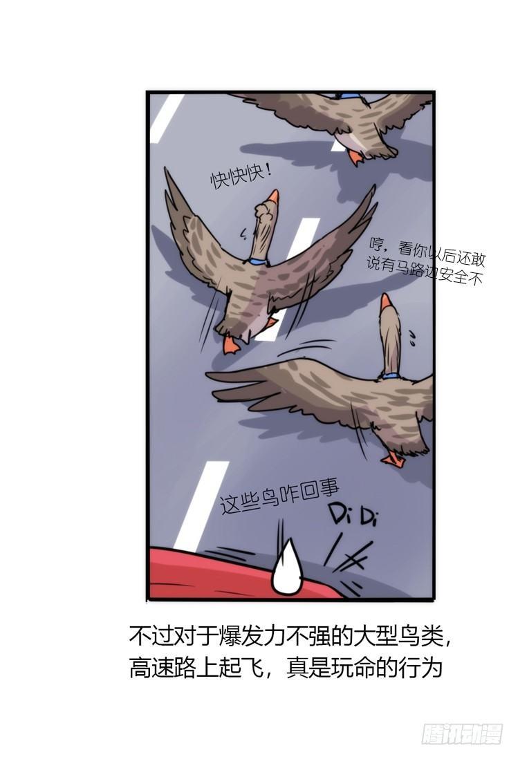 使命篇04：三鸟行必有我师焉-第127话