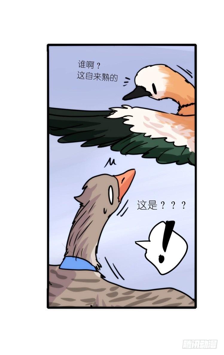 使命篇04：三鸟行必有我师焉-第127话
