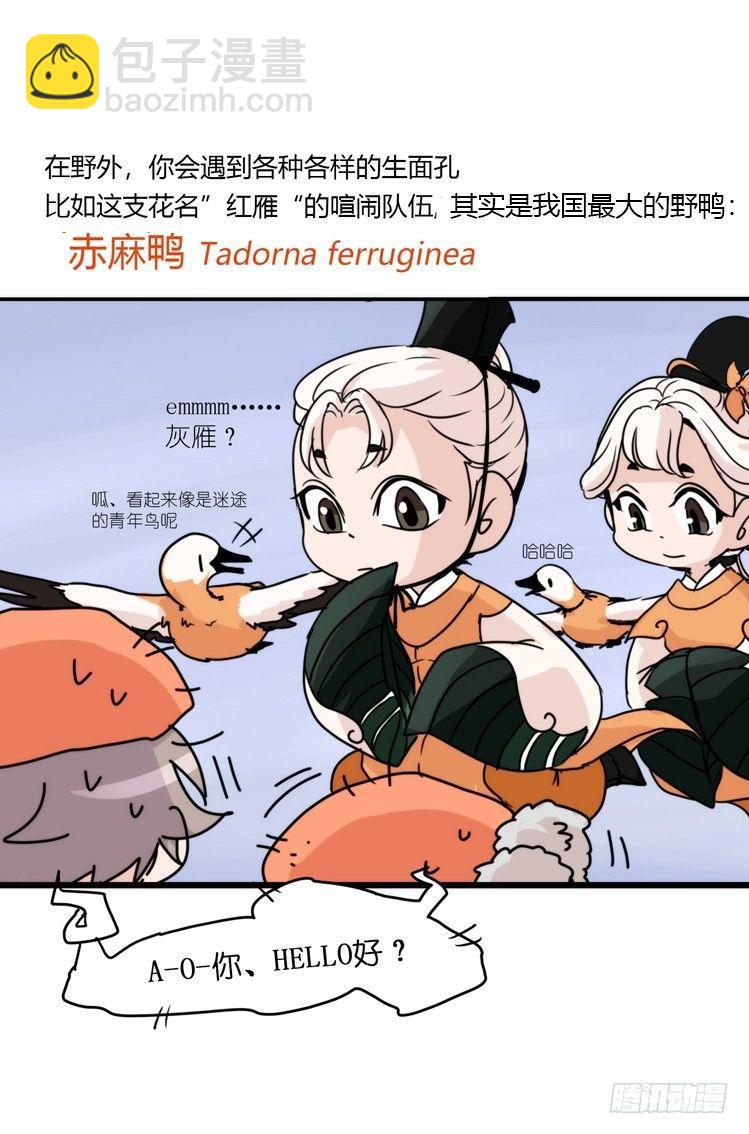 使命篇04：三鸟行必有我师焉-第127话