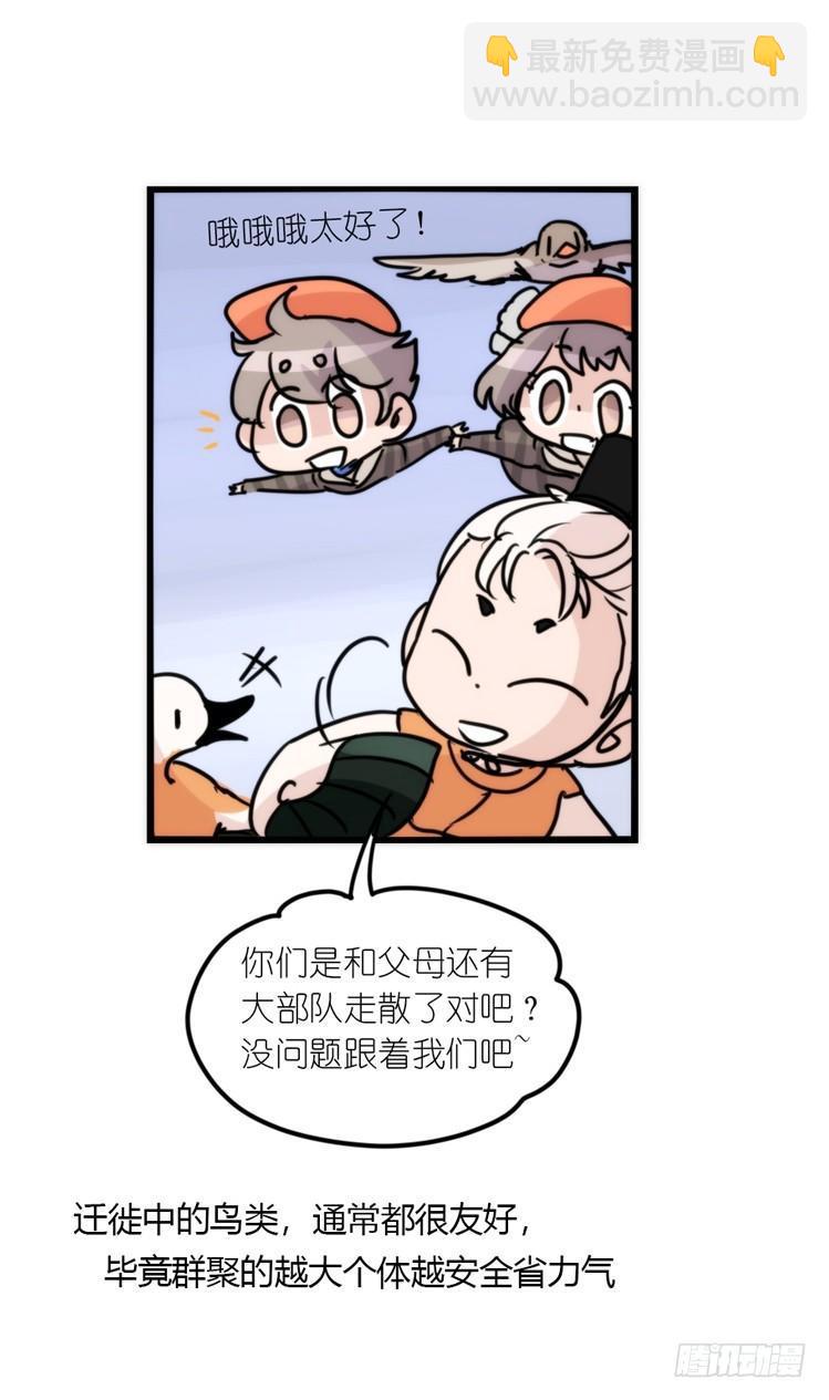 使命篇04：三鸟行必有我师焉-第127话