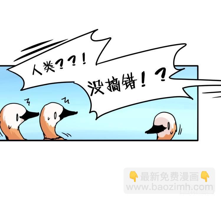 使命篇04：三鸟行必有我师焉-第127话