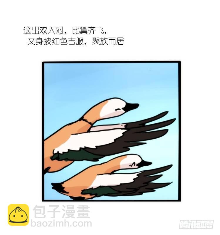 使命篇04：三鸟行必有我师焉-第127话
