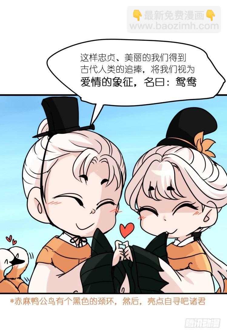 使命篇04：三鸟行必有我师焉-第127话