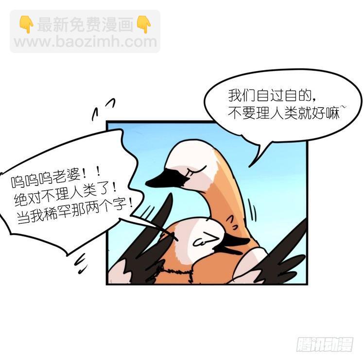 使命篇04：三鸟行必有我师焉-第127话