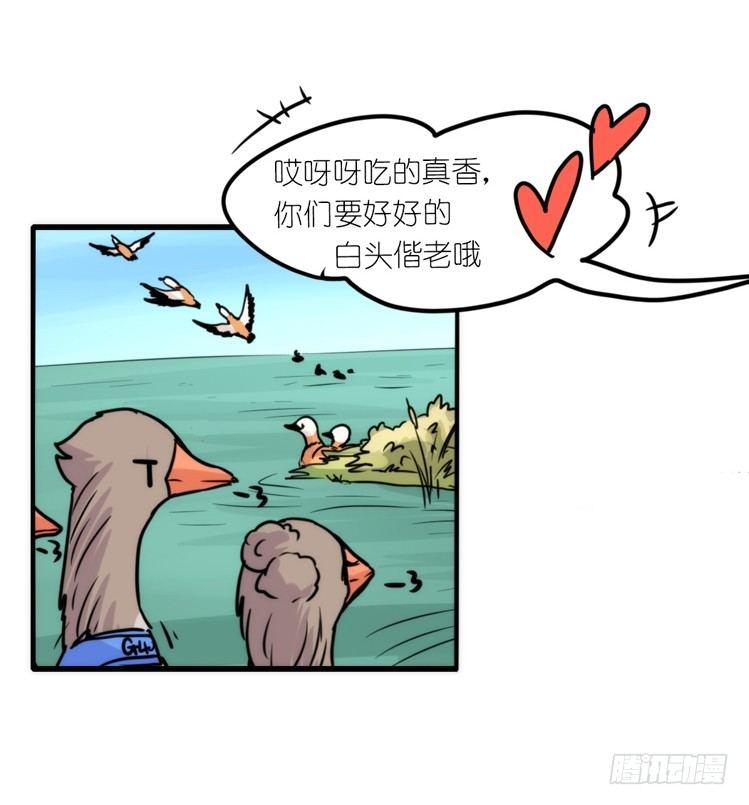 使命篇04：三鸟行必有我师焉-第127话