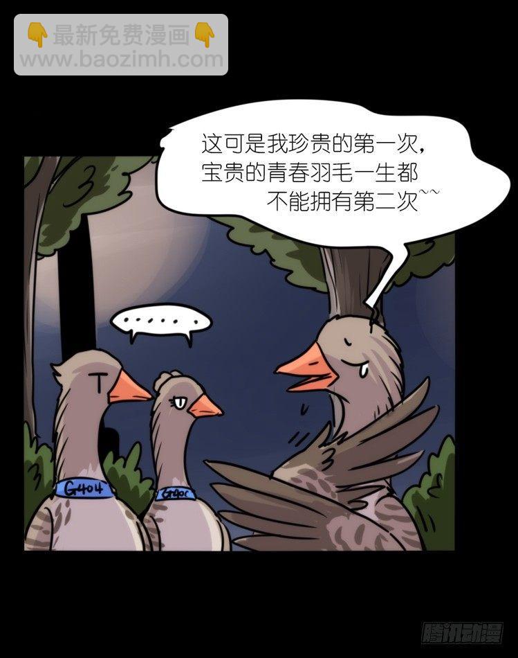 使命篇04：三鸟行必有我师焉-第127话
