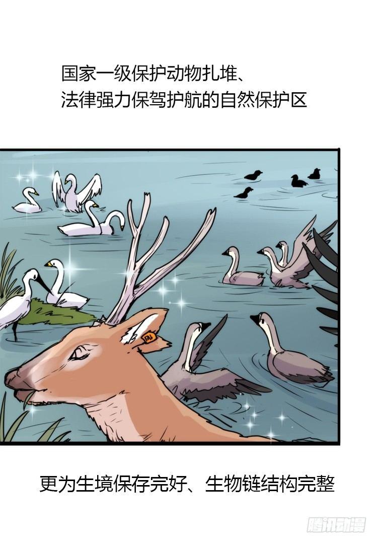 使命篇06：最佳选择-第129话
