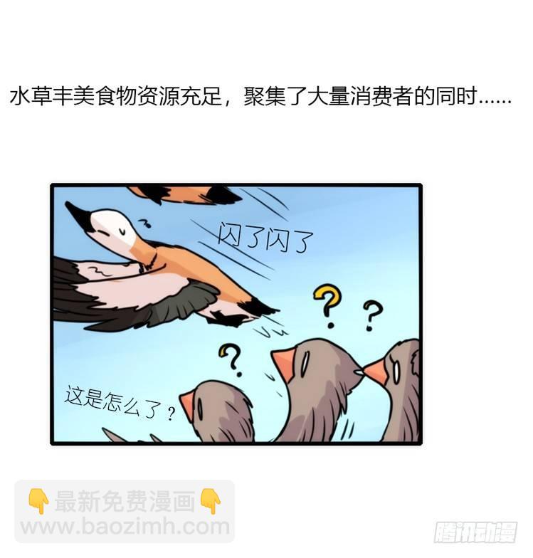 使命篇06：最佳选择-第129话