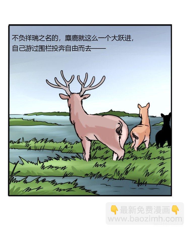 使命篇08：会笑运气不会差①-第131话