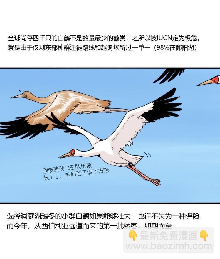使命篇13：新手专属幸运光环-第137话