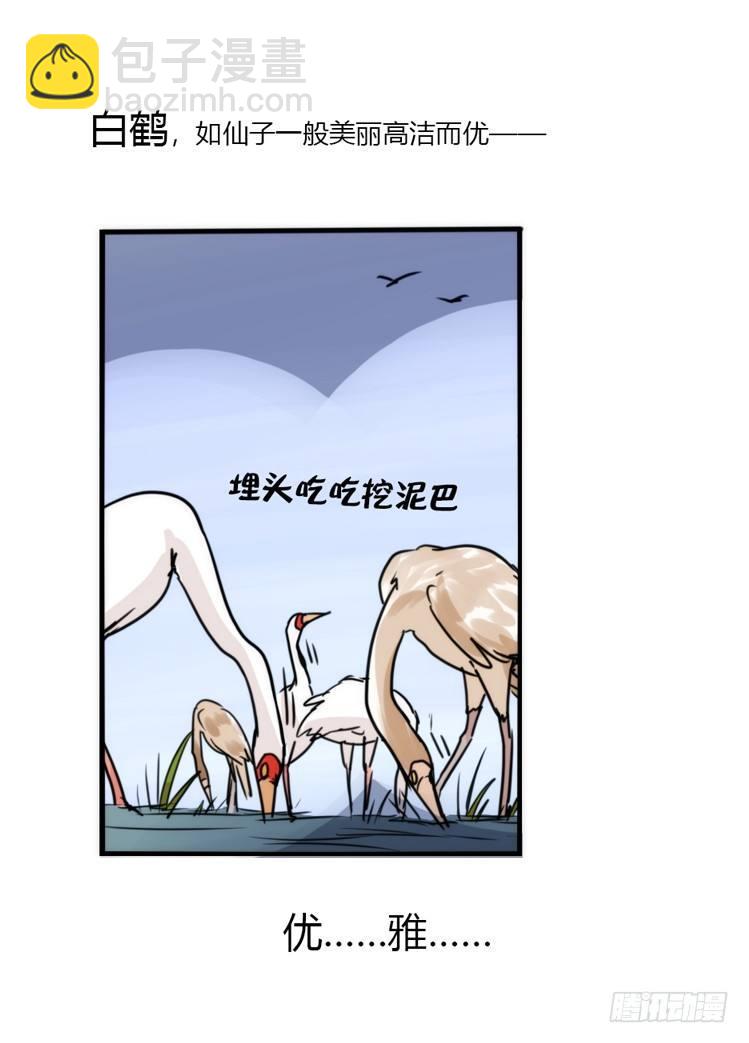 使命篇13：新手专属幸运光环-第137话