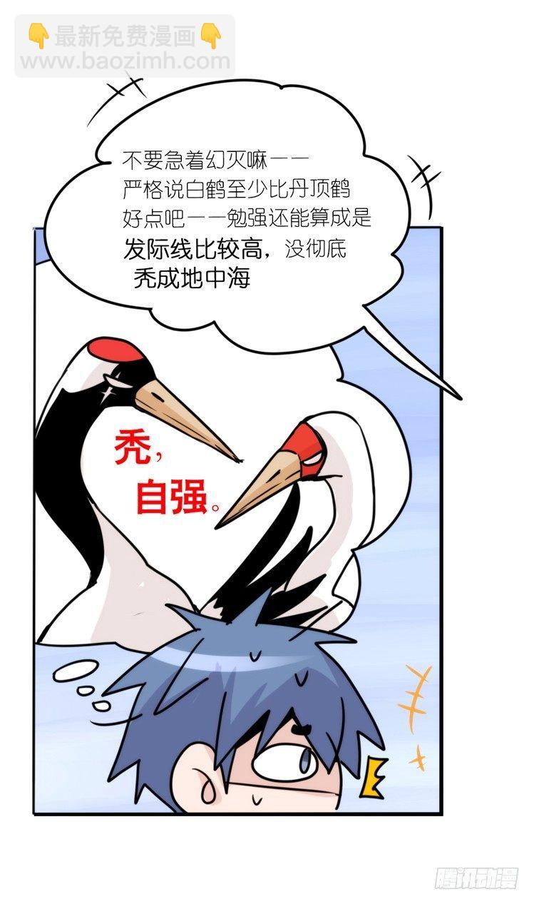 使命篇13：新手专属幸运光环-第137话
