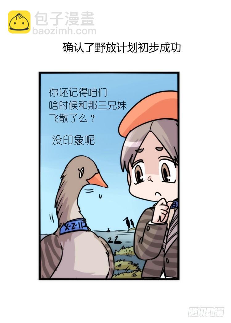 使命篇13：新手专属幸运光环-第137话