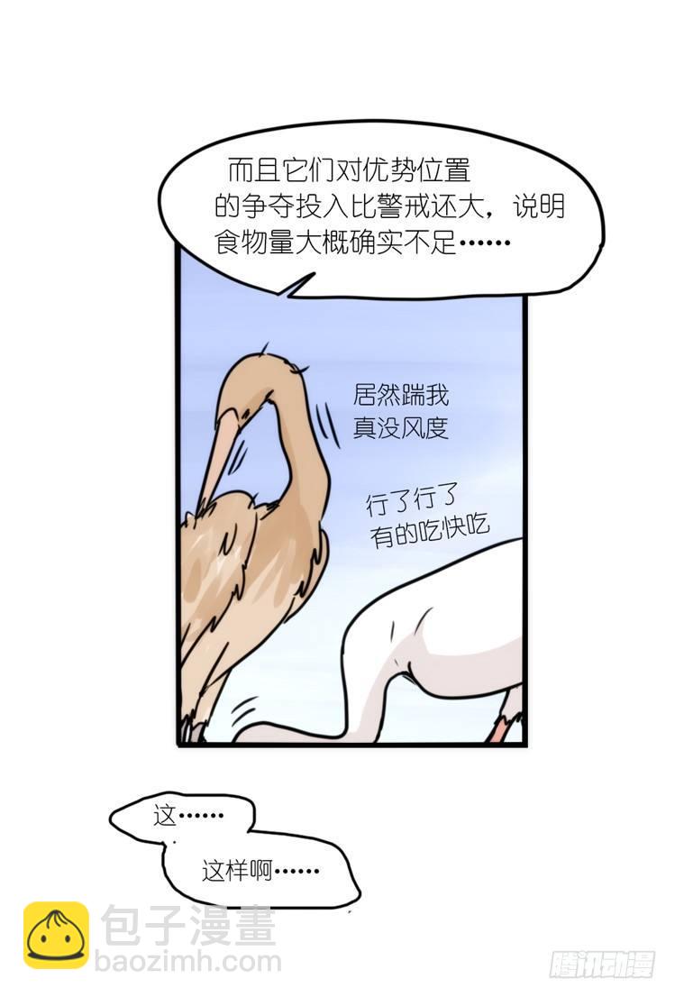 使命篇15：小确幸-第139话