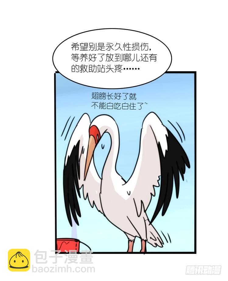使命篇15：小确幸-第139话