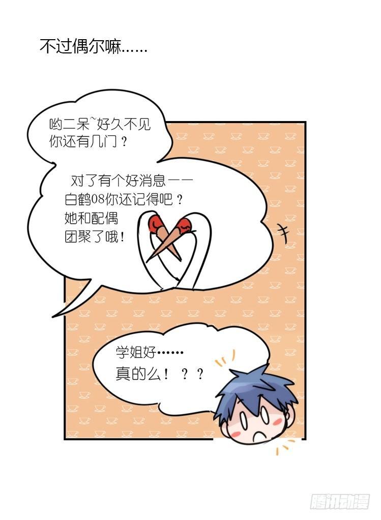 使命篇15：小确幸-第139话