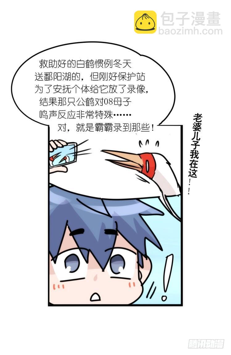 使命篇15：小确幸-第139话