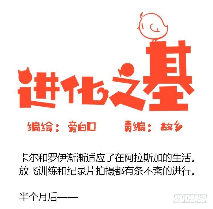 飞吧小少爷：去兜风么？-第15话
