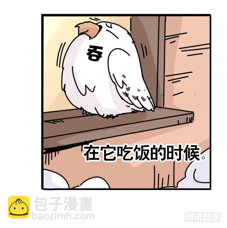 飞吧小少爷：去兜风么？-第15话