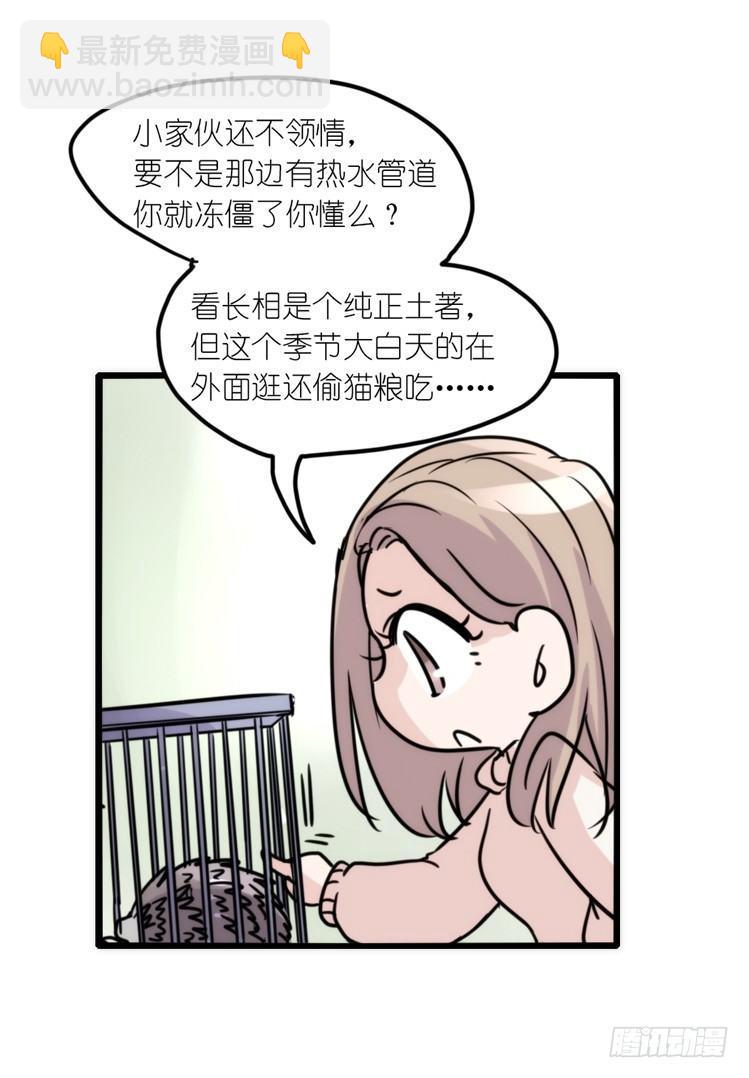 使命篇17：小客人-第141话