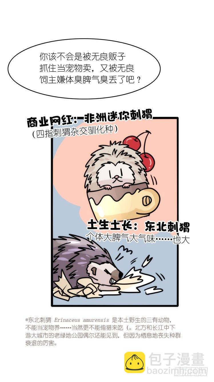 使命篇17：小客人-第141话