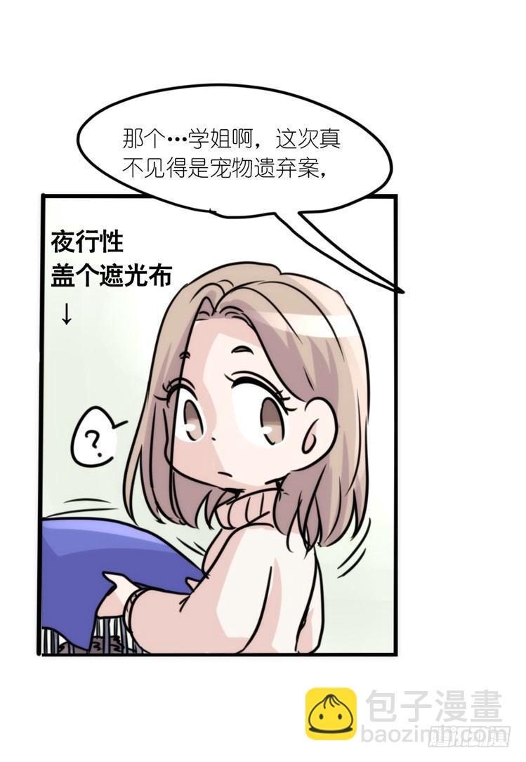 使命篇17：小客人-第141话