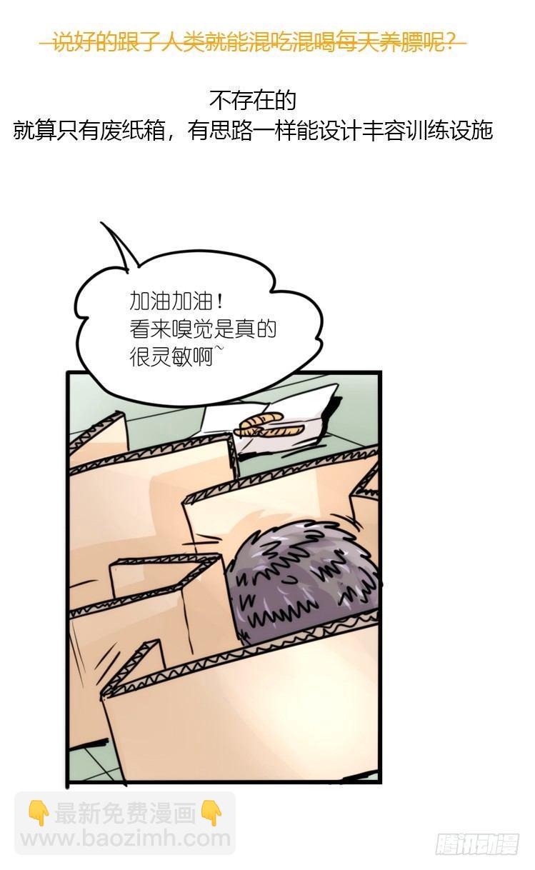 使命篇17：小客人-第141话