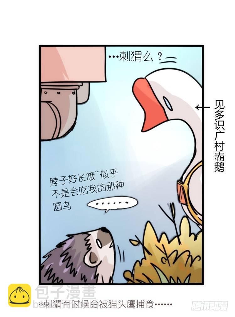 使命篇17：小客人-第141话