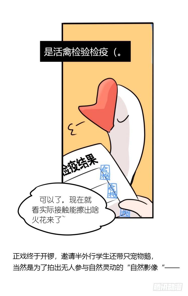 使命篇19：重振绯羽①-第143话