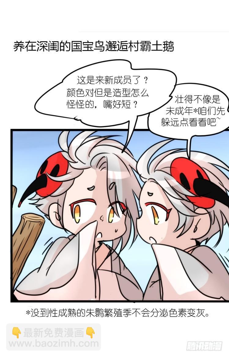 使命篇19：重振绯羽①-第143话
