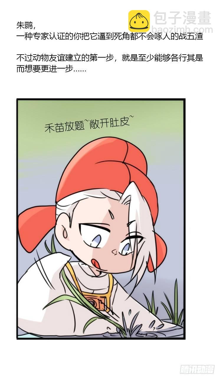 使命篇19：重振绯羽①-第143话
