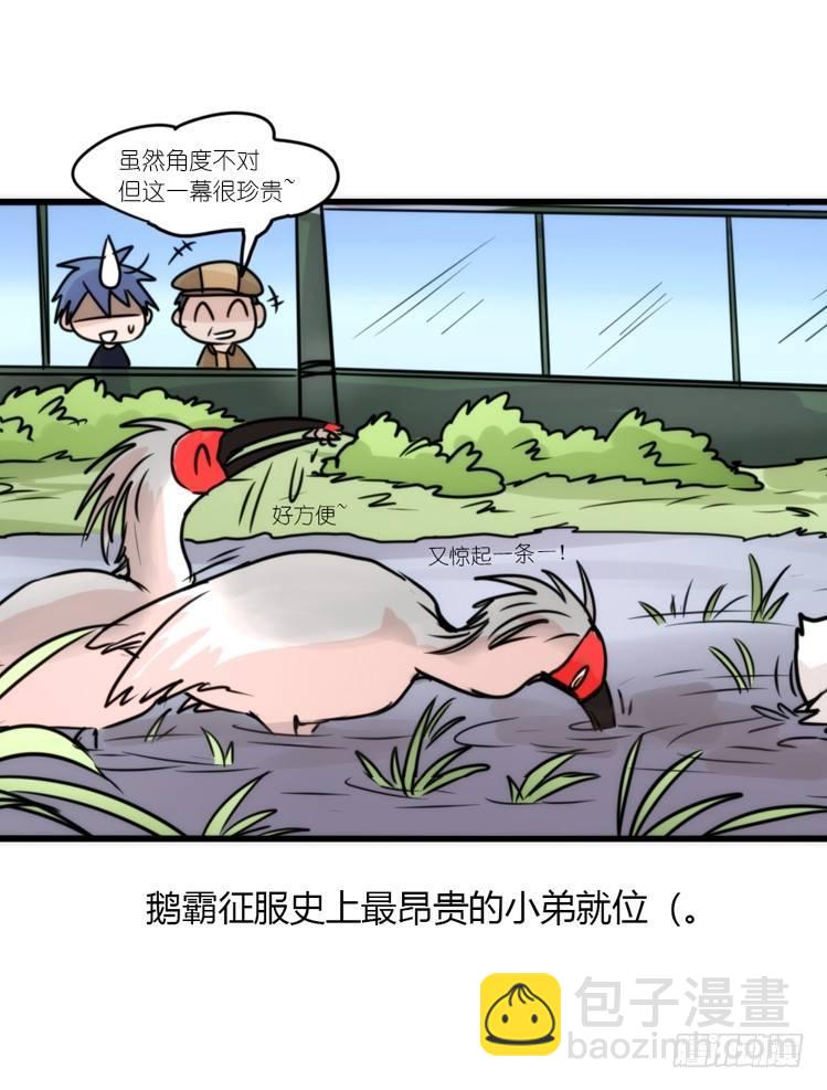 使命篇19：重振绯羽①-第143话