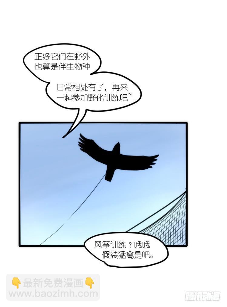 使命篇19：重振绯羽①-第143话