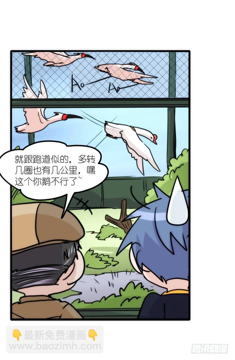 使命篇19：重振绯羽①-第143话