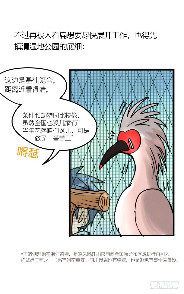 使命篇19：重振绯羽①-第143话