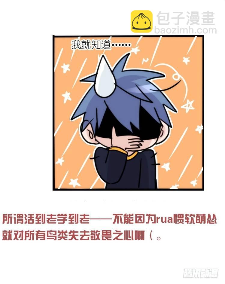 使命篇19：重振绯羽①-第143话