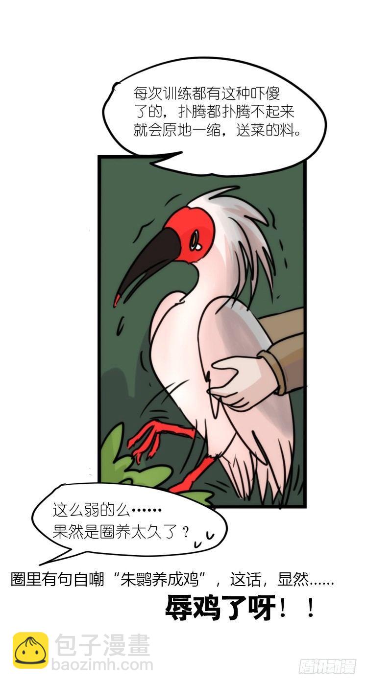 使命篇19：重振绯羽①-第143话