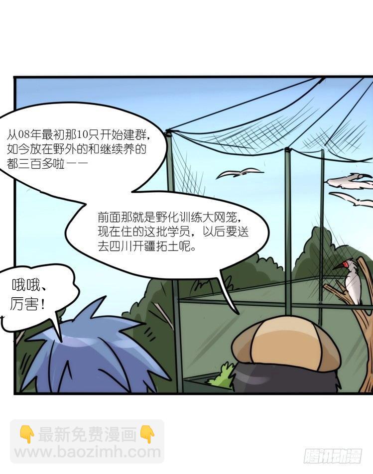 使命篇19：重振绯羽①-第143话