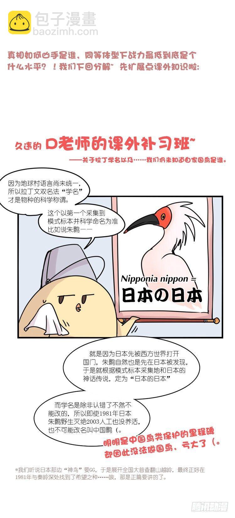 使命篇19：重振绯羽①-第143话