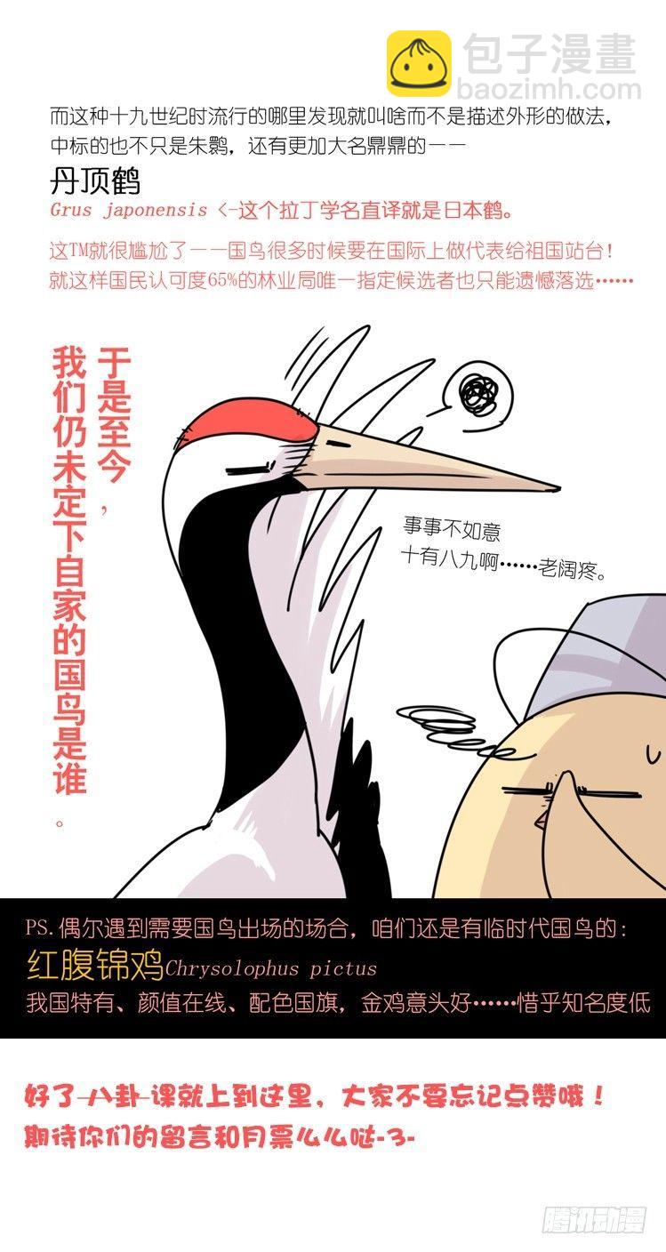 使命篇19：重振绯羽①-第143话