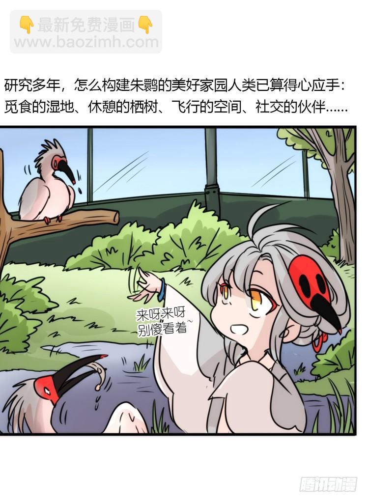 使命篇19：重振绯羽①-第143话