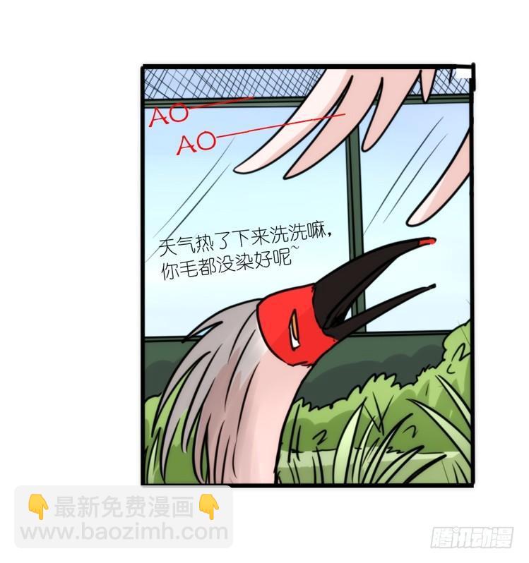 使命篇19：重振绯羽①-第143话
